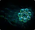 slider1.8f37180a